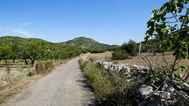 Bike Route Cala Millor Porto Cristo