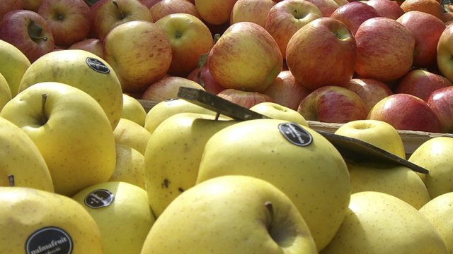 Weekly market in Cala Millor