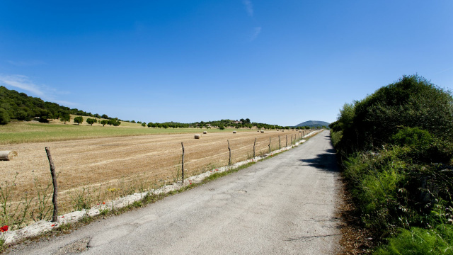 Bike Route Cala Millor Son Servera - Artà - Sant Llorenç