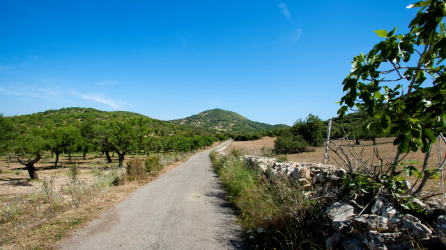 Ruta GR 226 - East Mallorca